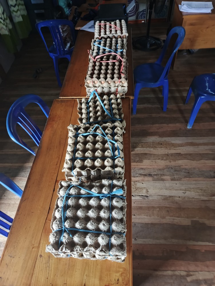 Program Pembagian Telur untuk Anak Stunting